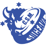 CSM Bucovina Suceava